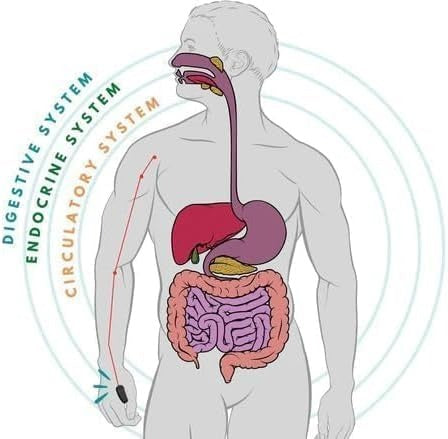 Sugar Control Acupressure Point Clip
